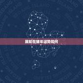 属蛇在猪年运势如何，2021年属蛇人的全年运势如何？