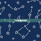 下半年属蛇运势，2023年属蛇人下半年运势如何