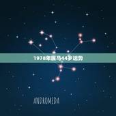 1978年属马44岁运势 1978年属马二次婚姻在几岁