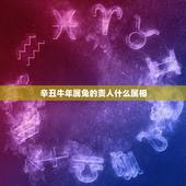 辛丑牛年属兔的贵人什么属相，牛年什么生肖最旺