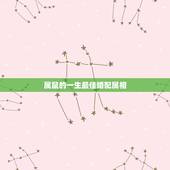 属鼠的一生最佳婚配属相，属鼠的和什么属相最配