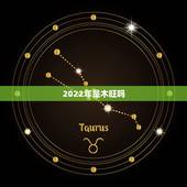 2022年是木旺吗，2022年大事记录
