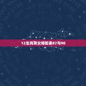12生肖男女婚配表87与90，生肖配对属相婚配表1990，12.28