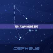 招财又吉利的微信图片，能带来好运和招财的微信头像