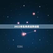 2022年生肖虎运势运程，2022生肖全年运势大全
