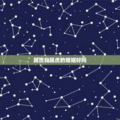 属虎和属虎的婚姻好吗，属虎和属虎的婚配好不好