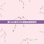 属1984鼠与1983属猪的能婚配吗，属鼠84年的和属猪83年的合适吗