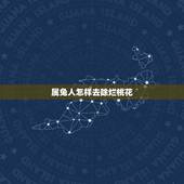 属兔人怎样去除烂桃花，属兔人今日运势查询