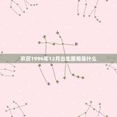 农历1996年12月出生属相是什么，阴历1996年12月27的生肖是什