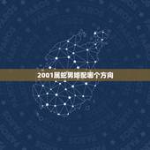 2001属蛇男婚配哪个方向，2001的蛇女和男什么属相配