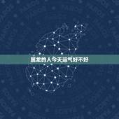 属龙的人今天运气好不好，属龙的今天财运子墨