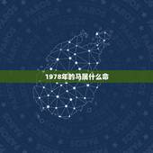 1978年的马属什么命，属马1978年是什么命