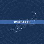 1990年几岁属什么，1990年属马的人今年几岁？