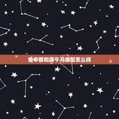 壬申猴和庚午马婚配怎么样，属猴的和属马的在一起好吗