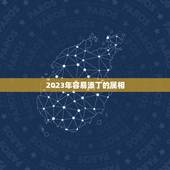 2023年容易添丁的属相，2023年是什么生肖年五行属什么