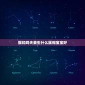 猴和鸡夫妻生什么属相宝宝好，生肖猴和鸡的生什么属相的宝宝好