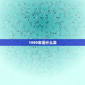 1999年是什么命，1999年属兔是什么土命