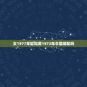 女1977年蛇和男1973年牛能婚配吗，1977年属蛇男的和1973年