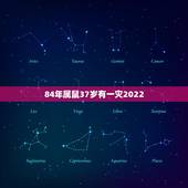 84年属鼠37岁有一灾2022 84年鼠2022年全年财运