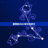 属狗的2022年今年多大，生肖狗2023年运势大全