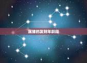 属猪的发财年龄段，83年属猪36岁后命好