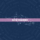 兔子各个年龄段图片，兔子多大就停止生长了