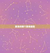 属兔和哪个属相最配，属兔和哪个属相合财