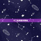 十二生肖配对更佳，十二生肖男女更佳配对