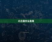 小三是什么生肖，百度百度十二生肖小三的生肖是哪一个