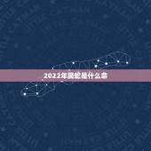 2022年属蛇是什么命，2023年是什么命五行属什么