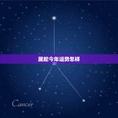 属蛇今年运势怎样，今年属蛇运气怎样？