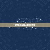 95年属猪26岁什么命，95年属猪是什么命