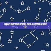 属相的婚配怎样配才好 属羊与属羊婚配好不好