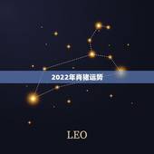 2022年肖猪运势，2022年猪价预测会怎么样