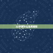 22岁属什么生肖婚配，请问在1999年22周岁属什么生肖？