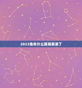 2023兔年什么属相易添丁，2023年兔年运势及运程