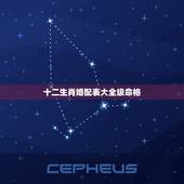 十二生肖婚配表大全级命格，12生肖配对表