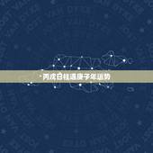 丙戌日柱遇庚子年运势，丙戌月庚子日柱