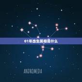 01年出生属相是什么，阳历2001年1月出生属相是什么？