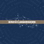 属鸡的与什么属相是更佳的婚配，28岁属什么生肖的婚姻搭配