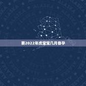 要2022年虎宝宝几月备孕，2022年生宝宝几月最好
