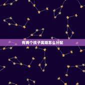 有两个孩子离婚怎么分配，2个孩子，离婚怎么分配