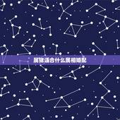 属猪适合什么属相婚配，属猪和什么属相最配