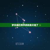 梦见自己用手抓到鱼又放了，已婚女人梦见抓好多鱼