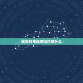 属相的幸运幸运花是什么，属猪的幸运花是什么？