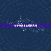 精子分离术生男孩费用，精子分离生男孩