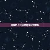 属兔的人今年的婚姻状况如何，属兔女子婚姻如何