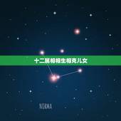 十二属相相生相克儿女，十二生肖属相相生相克