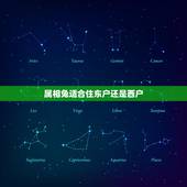 属相兔适合住东户还是西户，87年属兔 火命 适合住什么楼层。东户还是西