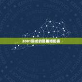 2001属龙的属相婚配表，属龙的属相婚配表，属龙的和什么属相最配